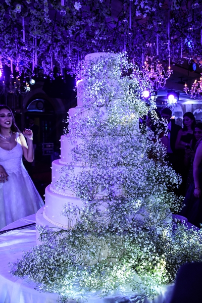 Wedding of Abbas Chamssedine and Manal Safa Part1